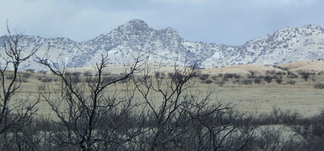 P1210911