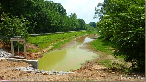 Pee Dee_010