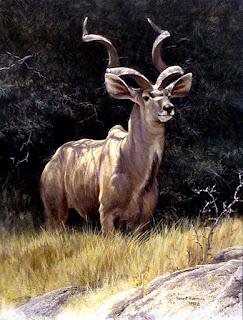 Greater Kudu, 1997