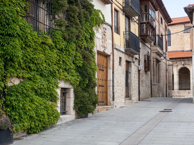 Fachada blasonada con hiedra en Medina de Pomar