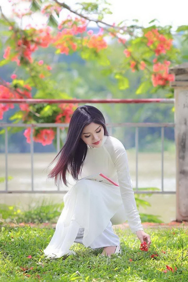 Thiếu nữ áo dài trắng, hoa phượng đỏ
