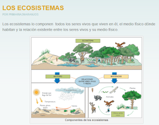 https://primaria3naranjos.wordpress.com/category/ciencias-naturales-y-sociales/4-los-ecosistemas/