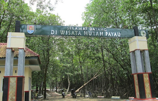 Hutan Mangrove Cilacap Hutan wisata payau Wisata Cilacap