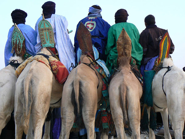 Tuareg Camel Riders at Festival