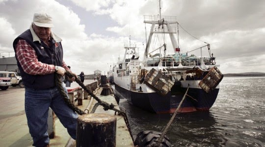 http://en.mercopress.com/2014/12/12/record-year-for-falklands-fish-catches