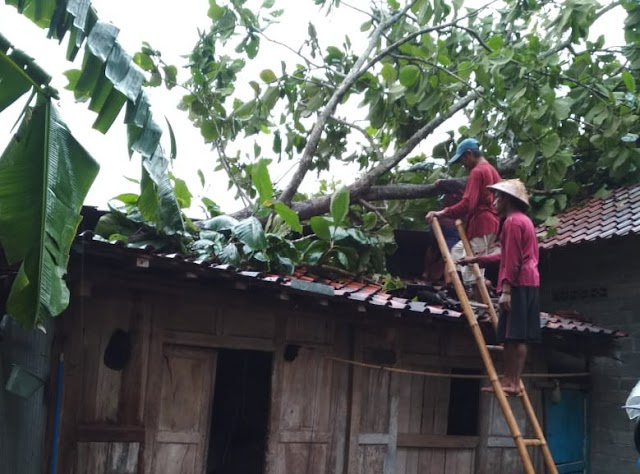 Hujan Disertai Angin Mengakibatkan Dua Rumah Milik Warga Watusigar Tertimpa Pohon