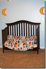 2011-01-02 (19)