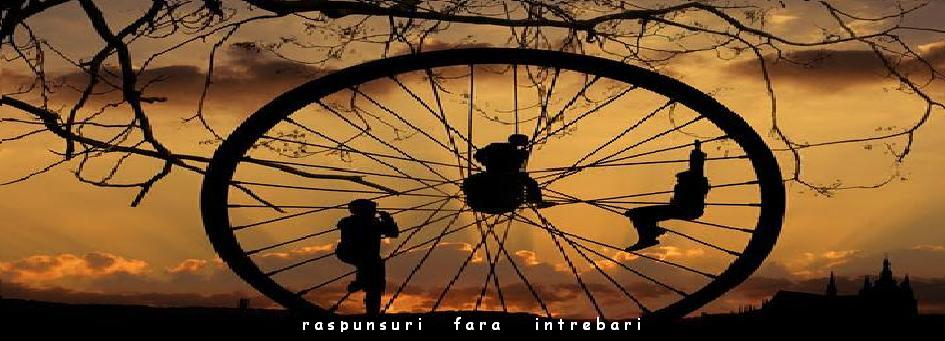 raspunsuri fara intrebari