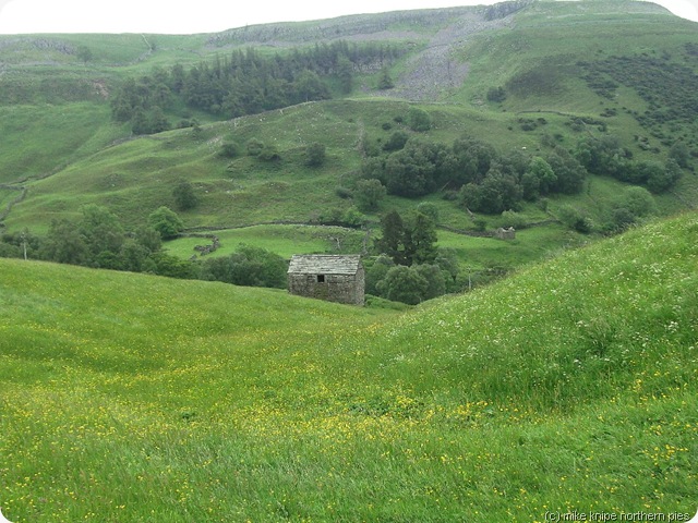 Upper Swaledale