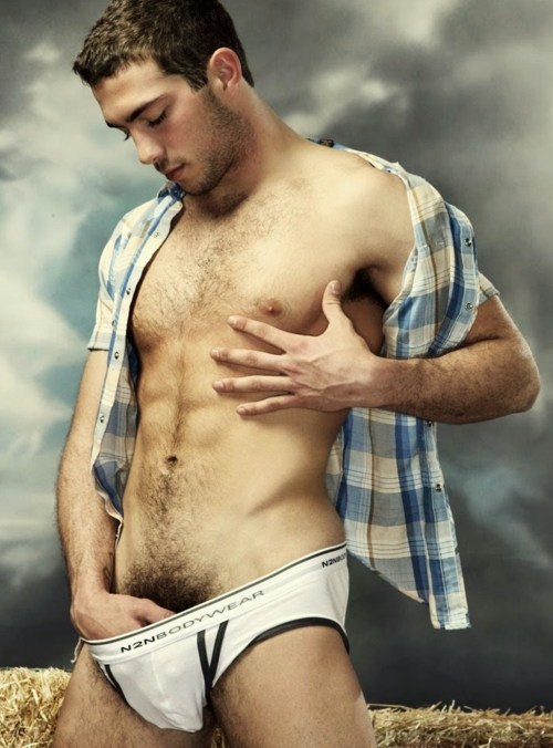 Labels Briefs Bulge Bulge grab Hairy Homoerotic Muscle Men Pants 