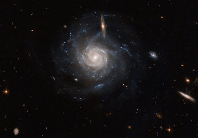 /Hubble Picture of the Week features spiral galaxy UGC 678