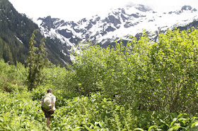 Goat Lake - Alnus viridis
