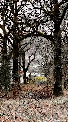 Holme Wood Bothy