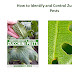  Zucchini Plant Pests and control