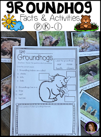 This unit includes real photos, sorting labels, All About Groundhog’s large group book, comprehension pages and voting and graphing materials.