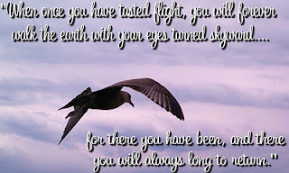 Airplane quotes pictures tasted flight