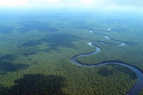 The Congo Basin