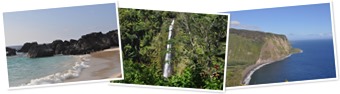 View Hawaii