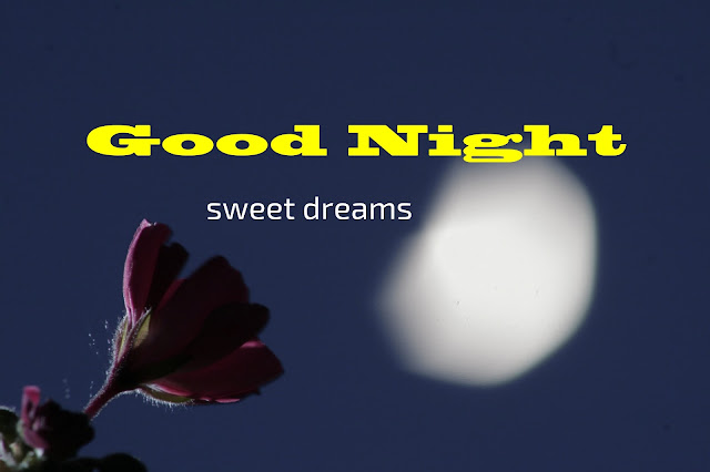 Good night quotes in English with images