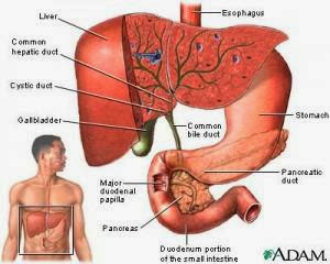 Jaga Kesihatan Hati dengan DTX Complex