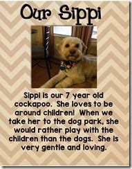 Adoption Profile - Page 009