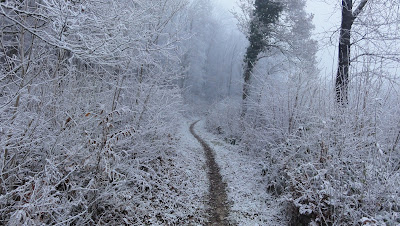 Trail nach Oensingen