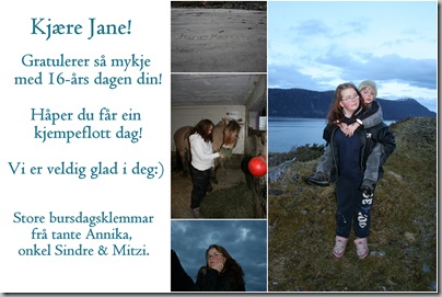 2009-04-09 Kvitneset2