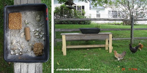 The Poop Hammock - Keeping Your Coop Clean | Community Chickens