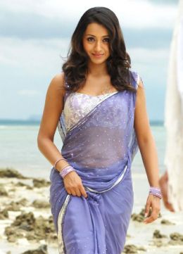 Trisha Krishnan In Saree