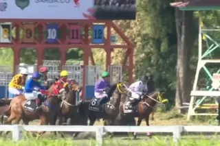South Kalimantan aims for five gold medals at the National Equestrian Championships Series 1 in Yogyakarta