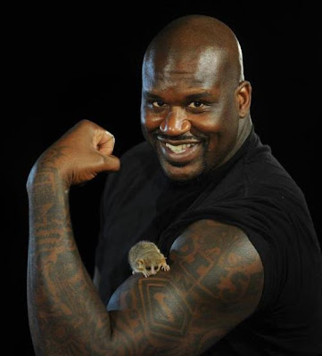 Shaquille O'Neal 