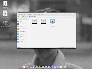 Openbox PCManFM Cairo-dock