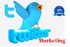 I Will Professionally Do Twitter Marketing And 1500 real follower