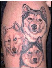 animal tattoos design