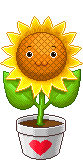 Gif de flor