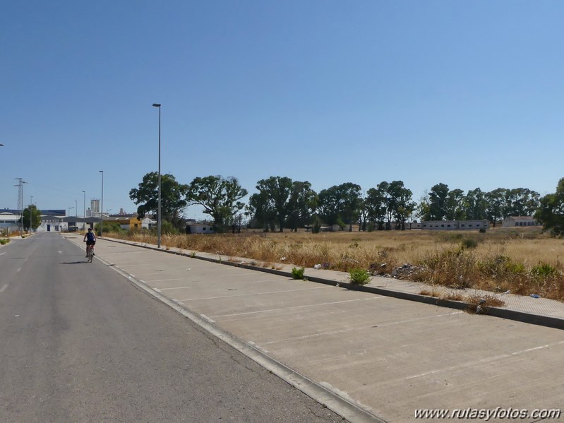 Bici Cádiz - Puerto de Santa María - Puerto Real - San Fernando - Cádiz