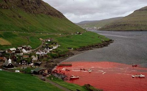 Brutality as a Ceremonial Act  disturbing images