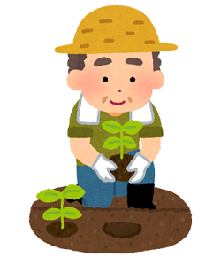 To plant vegetable seedlings