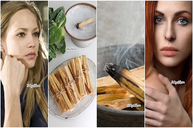 Ten Things Nobody Told You About Calm Down With Palo Santo.