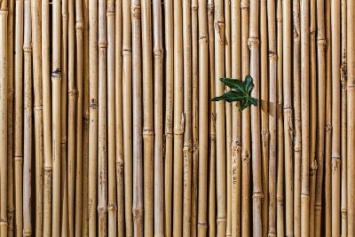 bamboe schutting tuinscherm bamboematten