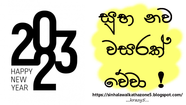 Happy New Year | සුභ නව වසරක් !