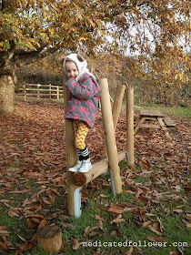 Playdale Playground Equipment in Tickenham