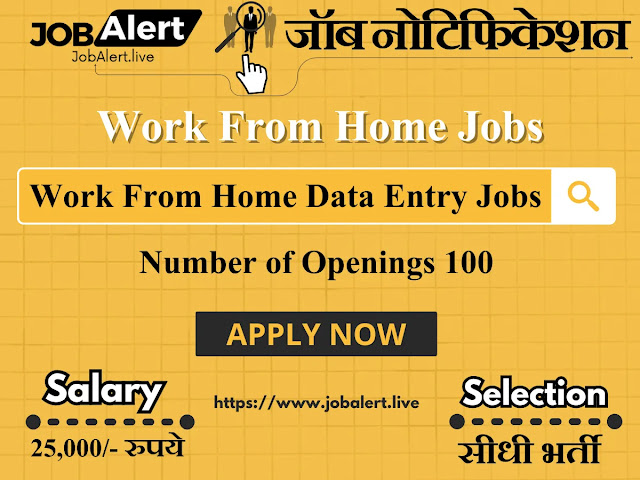 Work From Home Data Entry Jobs