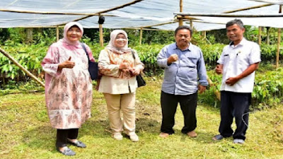 Legislator Hj Lilis Boy Dukung Program UPTD Balai Pengembangan Benih Hortikultura Kabupaten Tasikmalaya