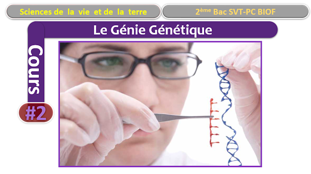 Télécharger | cours  | 2ème BAC SVT Biof | Le Génie Génétique #2