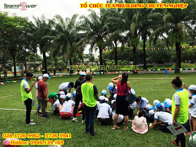 Team Power - Professional Teambuilding Company