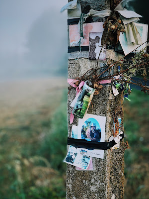 Camino de Santiago pilgrimage tree grief loss