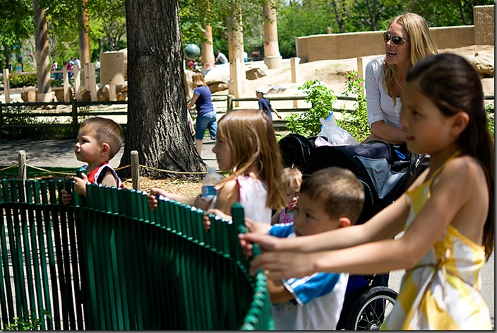 Zoo27