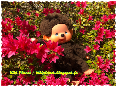 kiki virkiki vintage authentique yeux bleus monchhichi jardin foret tortue fleurs cerisiers