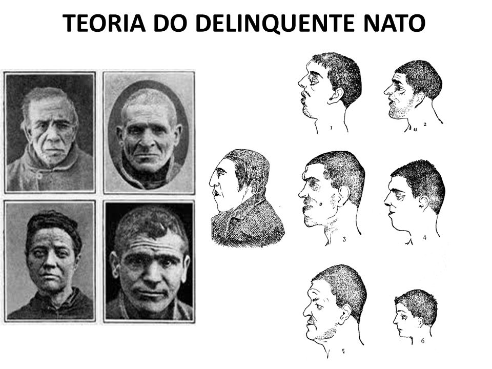 o homem criminoso cesare lombroso